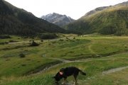 IMG_0001