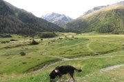 IMG_0002