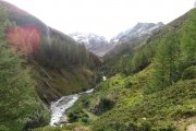 IMG_0005