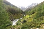 IMG_0007