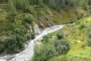 IMG_0010