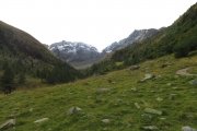 IMG_0014