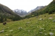 IMG_0016