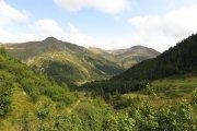 IMG_0021