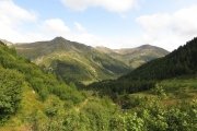 IMG_0023