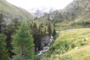 IMG_0024
