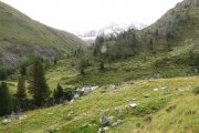 IMG_0031