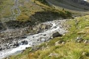 IMG_0050