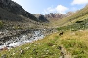 IMG_0063