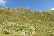 IMG_0070