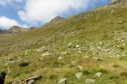 IMG_0073