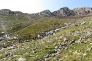 IMG_0090