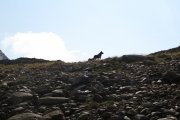 IMG_0120