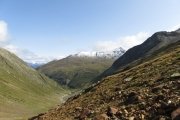 IMG_0122