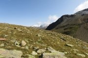 IMG_0133