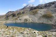IMG_0181