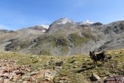IMG_0187