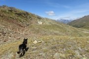IMG_0190