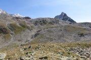 IMG_0194