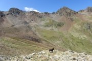 IMG_0211