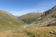 IMG_0214