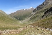 IMG_0215