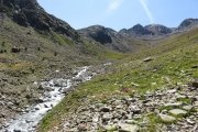 IMG_0229