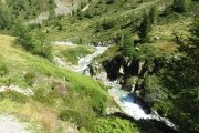 IMG_0240