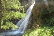IMG_0246