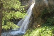 IMG_0247