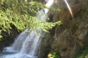 IMG_0250
