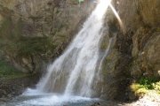 IMG_0257