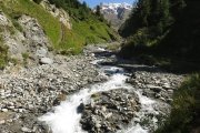 IMG_0264