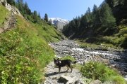 IMG_0270
