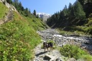 IMG_0271