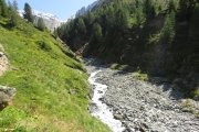 IMG_0276