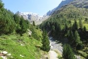 IMG_0287