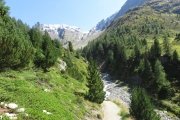 IMG_0288