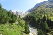 IMG_0290
