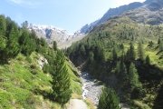 IMG_0300
