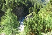 IMG_0301