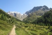 IMG_0304