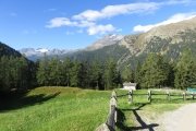 IMG_0004