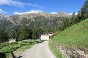 IMG_0007