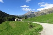 IMG_0010