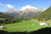 IMG_0015