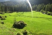 IMG_0017