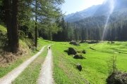 IMG_0018