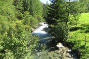IMG_0021