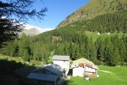 IMG_0026
